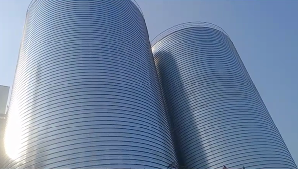 睢阳2座混凝土高架卷板仓